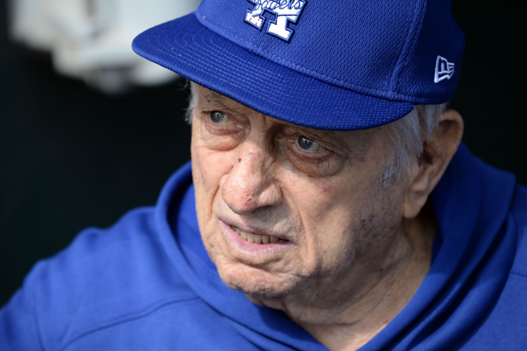MLB: Spring Training-Chicago Cubs at Los Angeles Dodgers